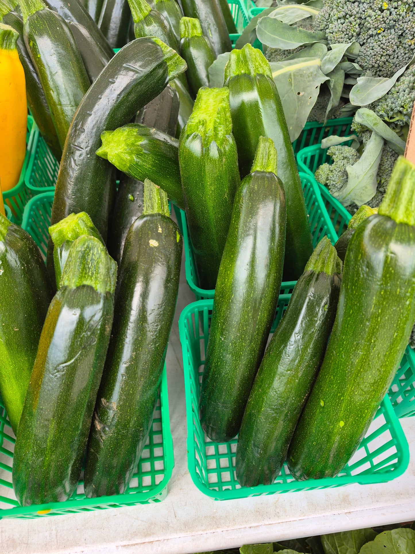Zucchini June - Sept