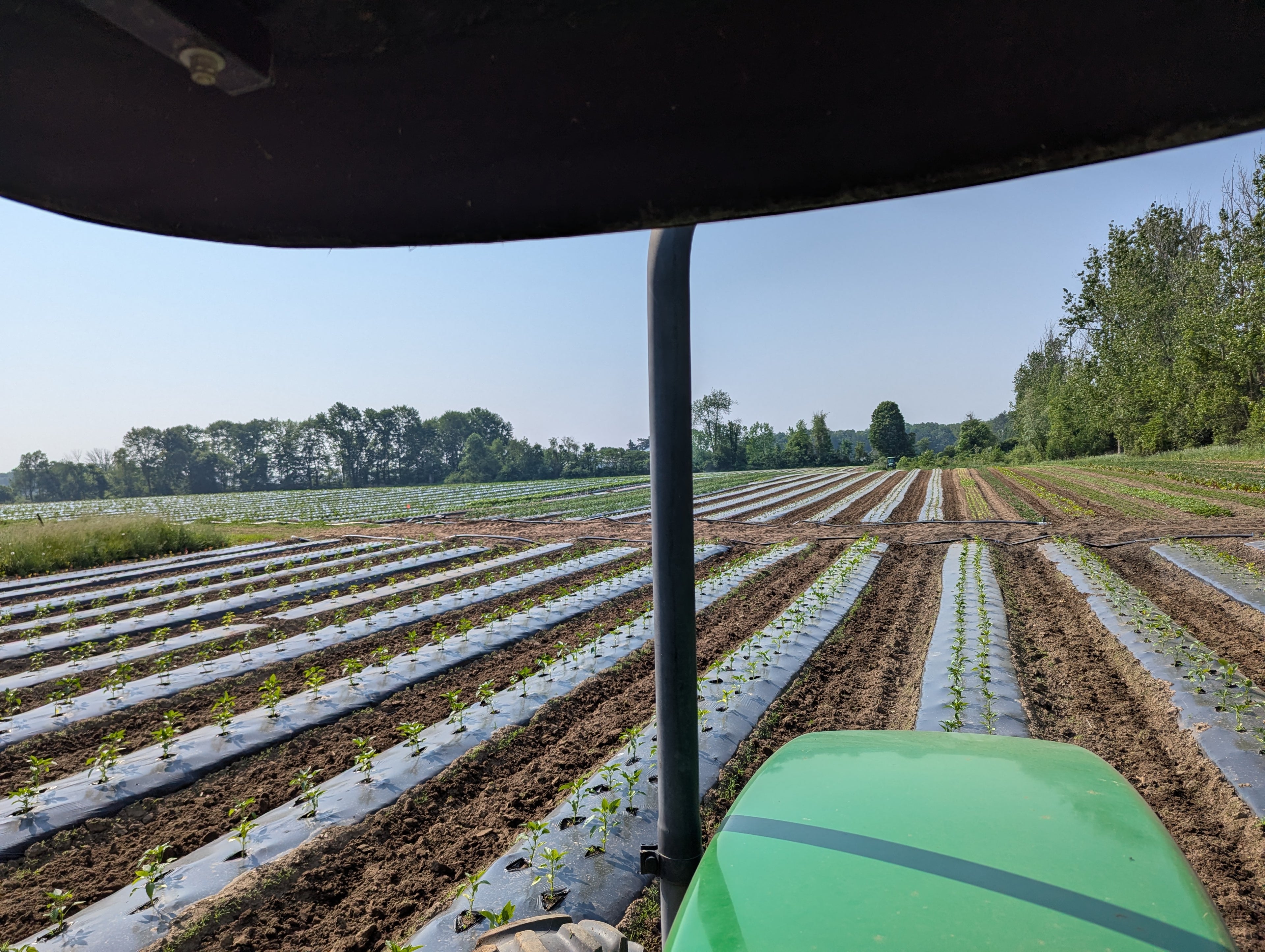 View from inside a tractor looking out over a field with rows of crops.