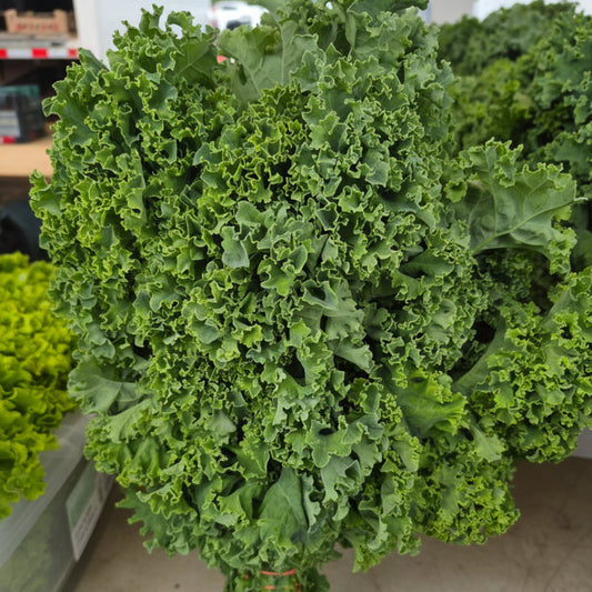 Fresh Kale