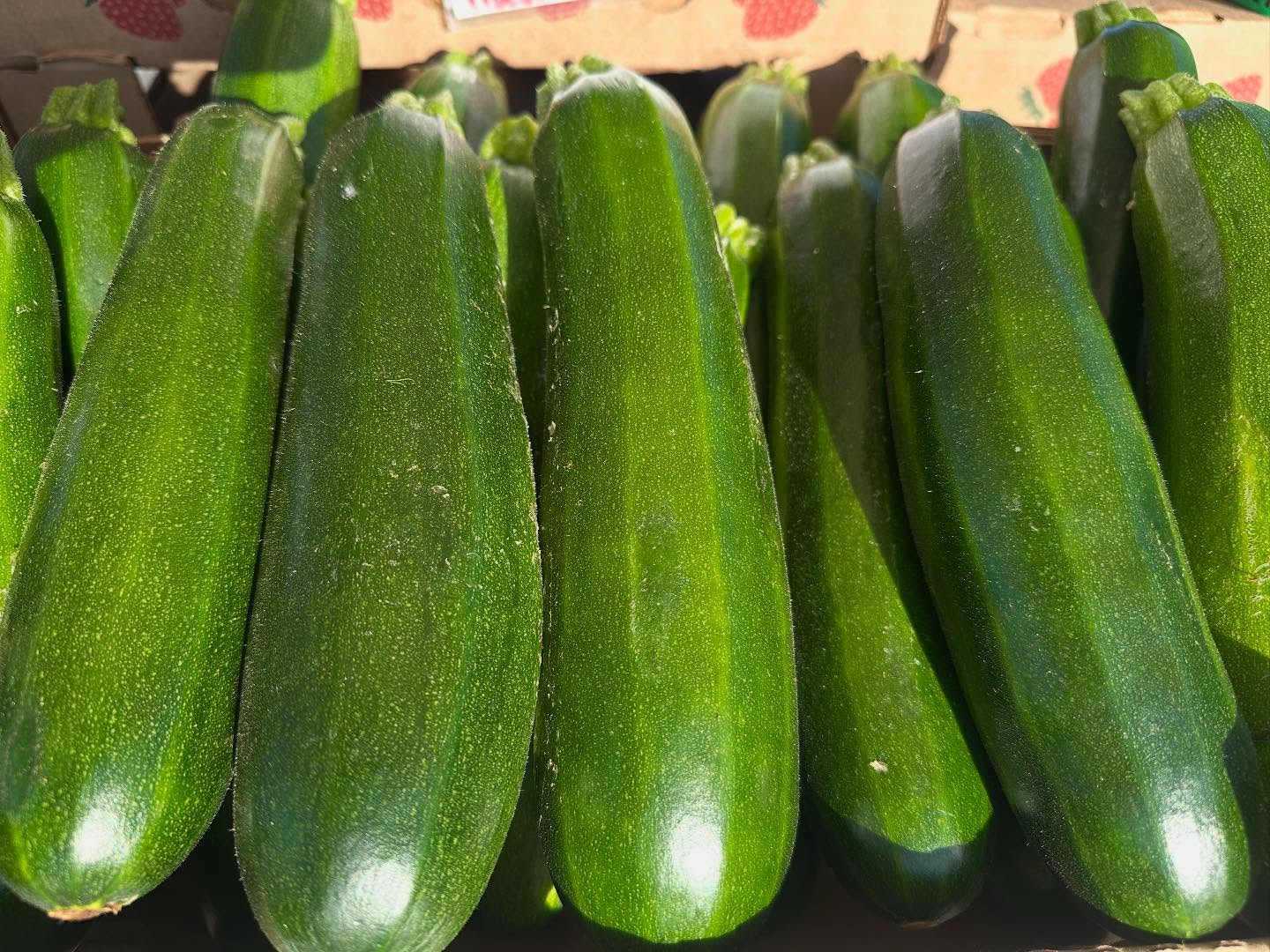 Zucchini  June - Sept