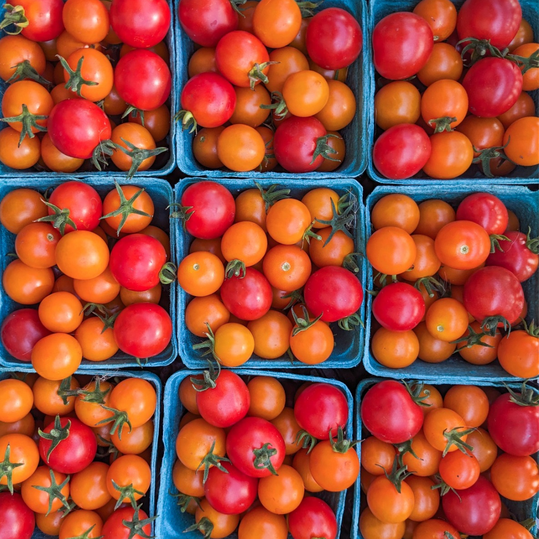 Cherry Tomatoes July-Sept