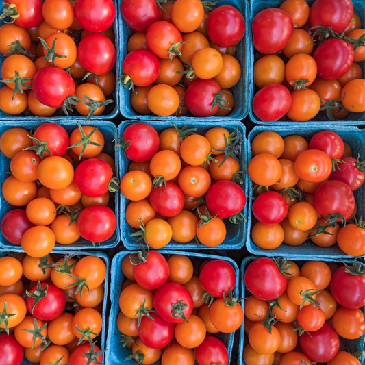 Cherry Tomatoes July-Sept