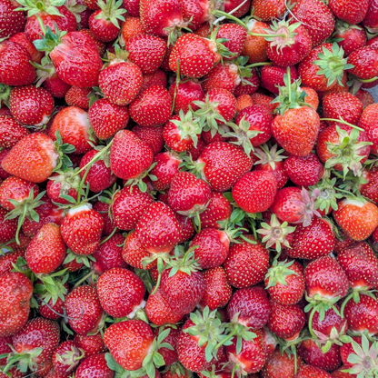 Strawberries available May 30 -October