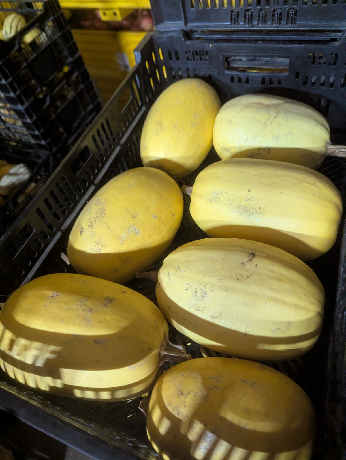Spaghetti Squash